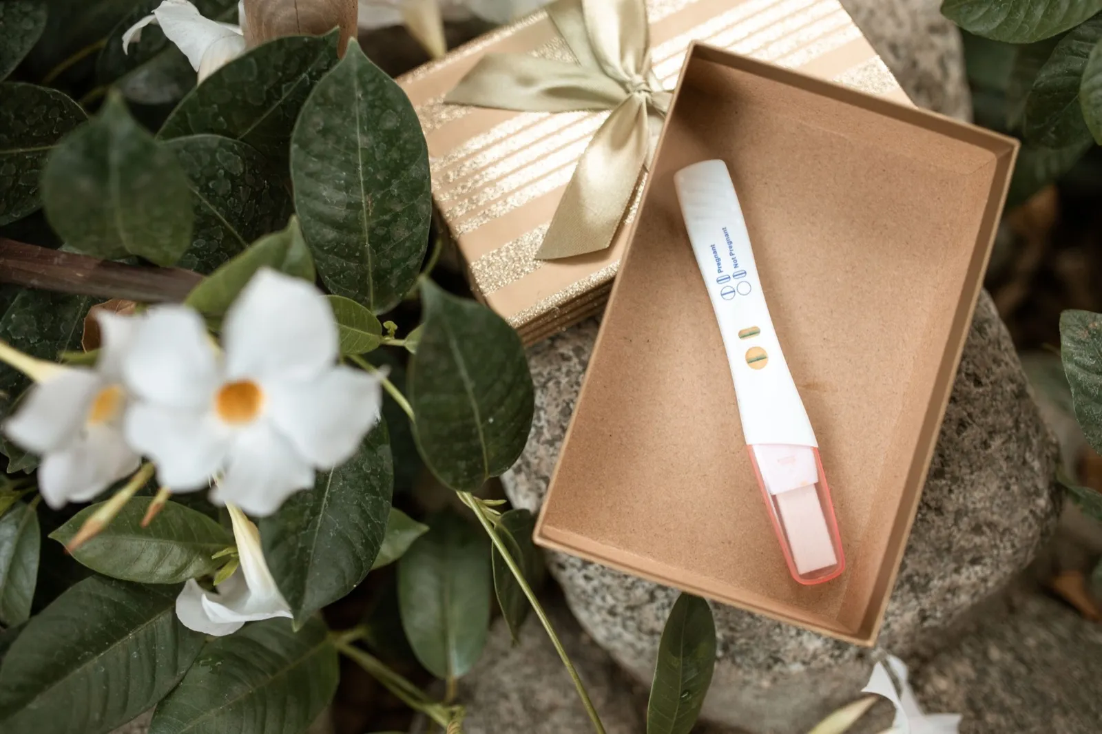 A pregnancy test resting in an open gift box, among white flowers and leaves.